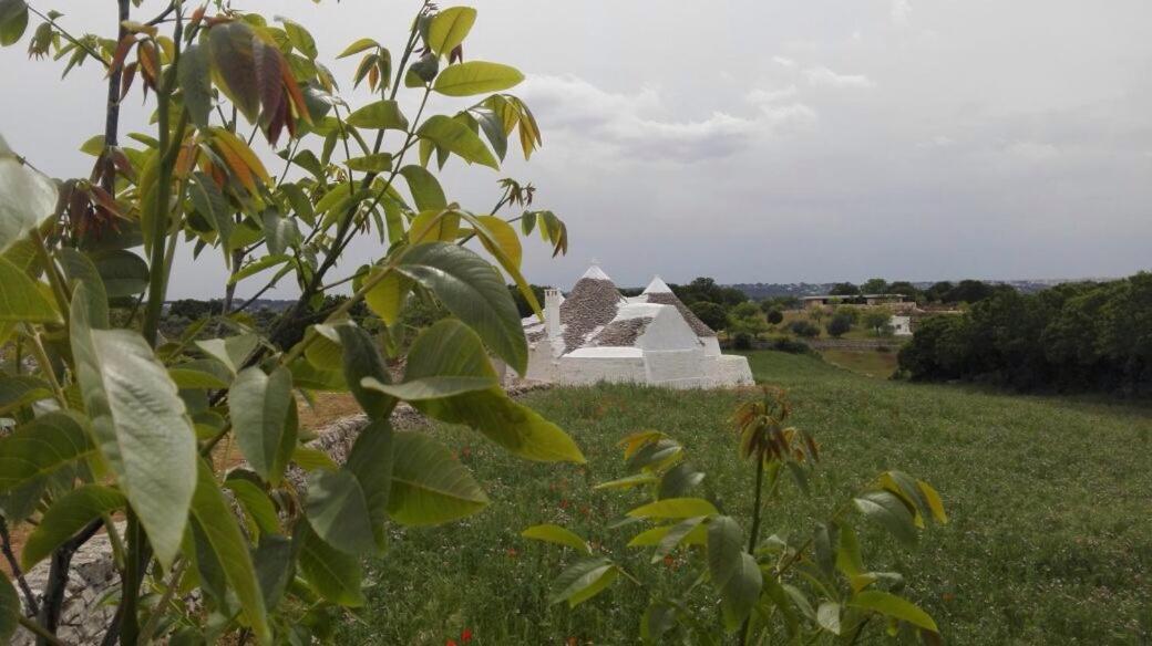 Borgo Trulli 1789 Acomodação com café da manhã Ostuni Exterior foto