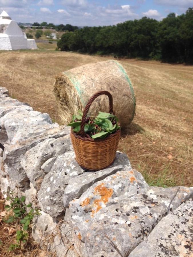 Borgo Trulli 1789 Acomodação com café da manhã Ostuni Exterior foto