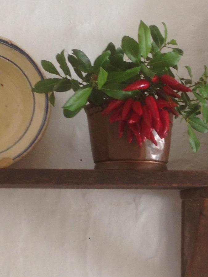 Borgo Trulli 1789 Acomodação com café da manhã Ostuni Exterior foto
